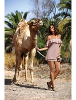 Juliet Taupe tunika M-461 (4) - Marko Juliet Taupe tunika M-461 (4) - Marko