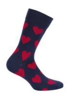 Vzorované pánské ponožky model 7508543 - Wola