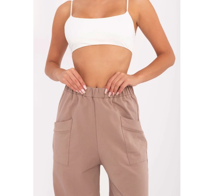 Spodnie dresowe RV DR model 21320072 ciemny bezowy - FPrice Spodnie dresowe RV DR model 21320072 ciemny bezowy - FPrice