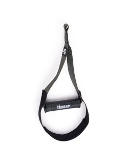 model 21380809 - Tiguar