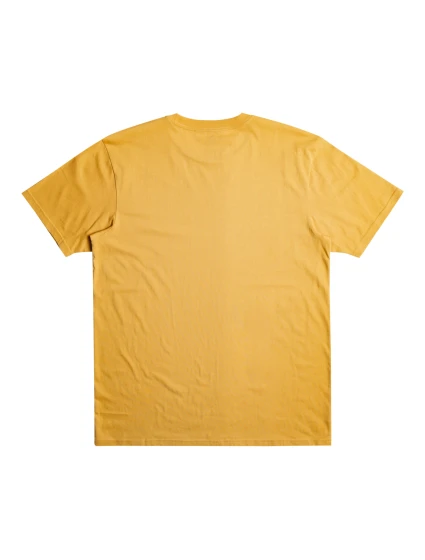 Pánské tričko Quiksilver Scholarship