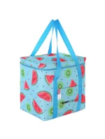 TERMÁLNÍ TAŠKA 32x25x35 CM 28L FRUIT MELON ENERO CAMP