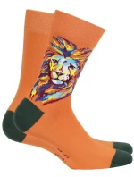 Vzorované pánské ponožky model 7508543 - Wola