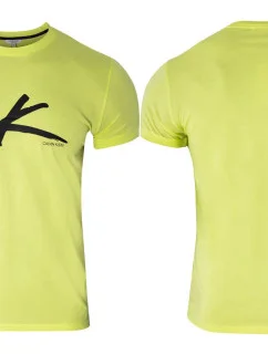 Pánské tričko model 19400672 zelená - Calvin Klein