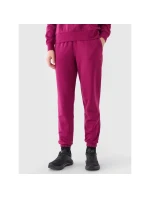 Dámské tepláky typu jogger model 21432820 - 4F Dámské tepláky typu jogger model 21432820 - 4F