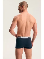 PÁNSKÉ BOXERKY FREE, 2 KS V BALENÍ 46099 AW26