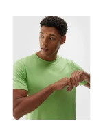 Pánské pravidelné rychleschnoucí tréninkové tričko 4F 4FWAW24TFTSM1003-42M