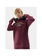 Mikina 4F Jr 4FJAW23TSWSM651-60S Mikina 4F Jr 4FJAW23TSWSM651-60S