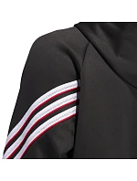 Mikina Basketball Crazy Warm Hoody M model 21211402 pánské - ADIDAS