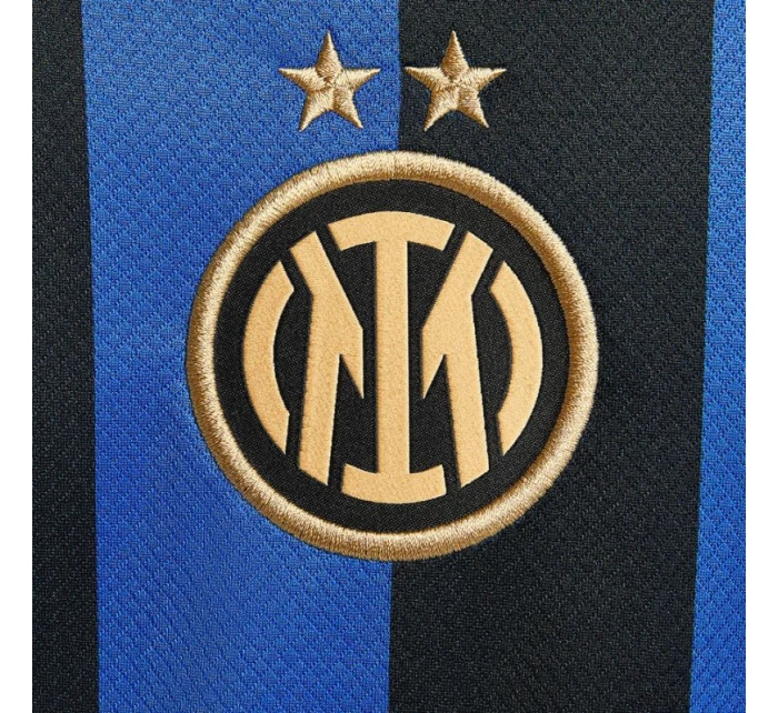 Tričko Inter Milan Stadium model 21857816 - NIKE