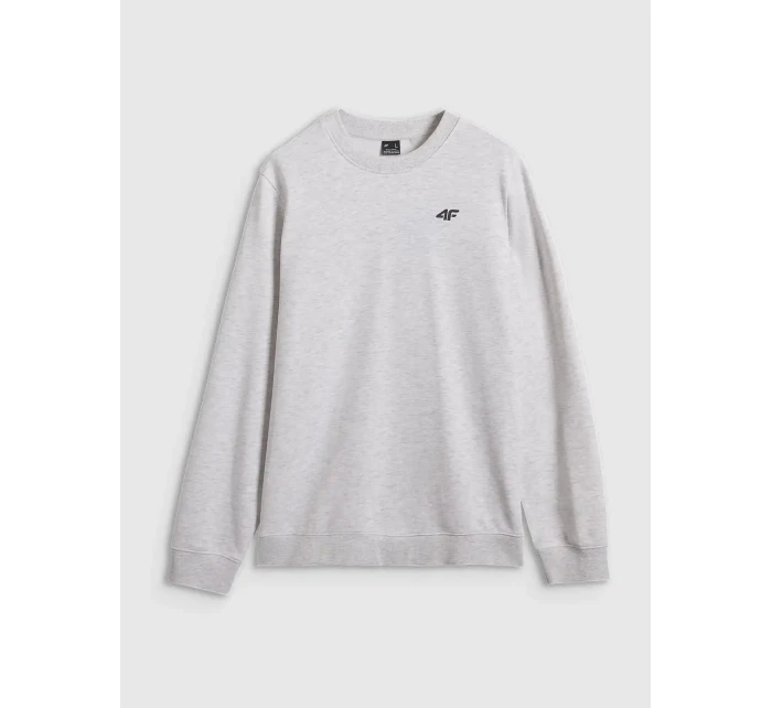 Pánská mikina 4F