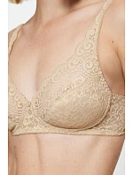 Soft model 229878 Triumph