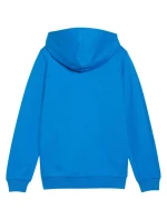 teamGoal Casuals Mikina s kapucí Jr model 21367135 02 - Puma teamGoal Casuals Mikina s kapucí Jr model 21367135 02 - Puma