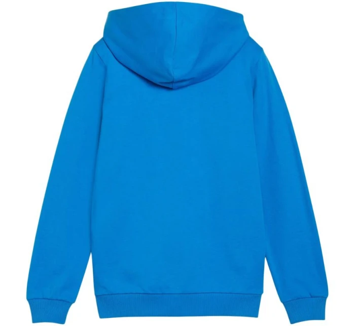 teamGoal Casuals Mikina s kapucí Jr model 21367135 02 - Puma teamGoal Casuals Mikina s kapucí Jr model 21367135 02 - Puma