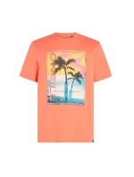 O'Neill Jack Neon TShirt M model 20119127 - ONeill