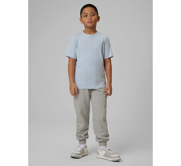 Chlapecké tepláky typu jogger model 22117408 - 4F