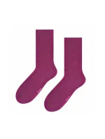 Hladké pánské ponožky k  model 18395072 - Steven