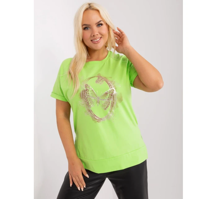 Halenka RV BZ 8968.67P vápno