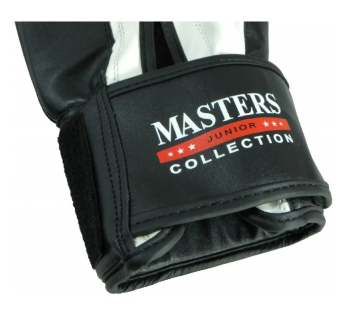 Dětské boxerské rukavice Collection Jr   model 21763826 - Masters