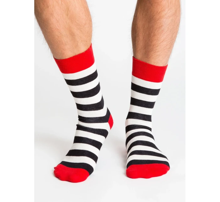 Ponožky WS SR model 21219613 vícebarevné - FPrice Ponožky WS SR model 21219613 vícebarevné - FPrice