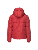 Pánský prošívaný zimní kabát model 21417557 - Iguana