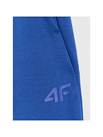 Pánské tepláky model 22099262 - 4F Pánské tepláky model 22099262 - 4F