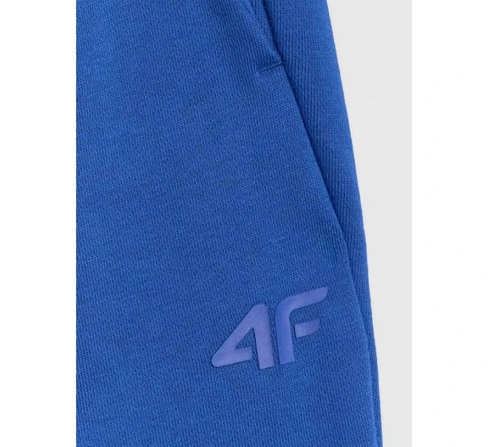 Pánské tepláky model 22099262 - 4F Pánské tepláky model 22099262 - 4F