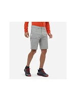 Pánské šortky MILLET Ubic Stretch Short M, šedé