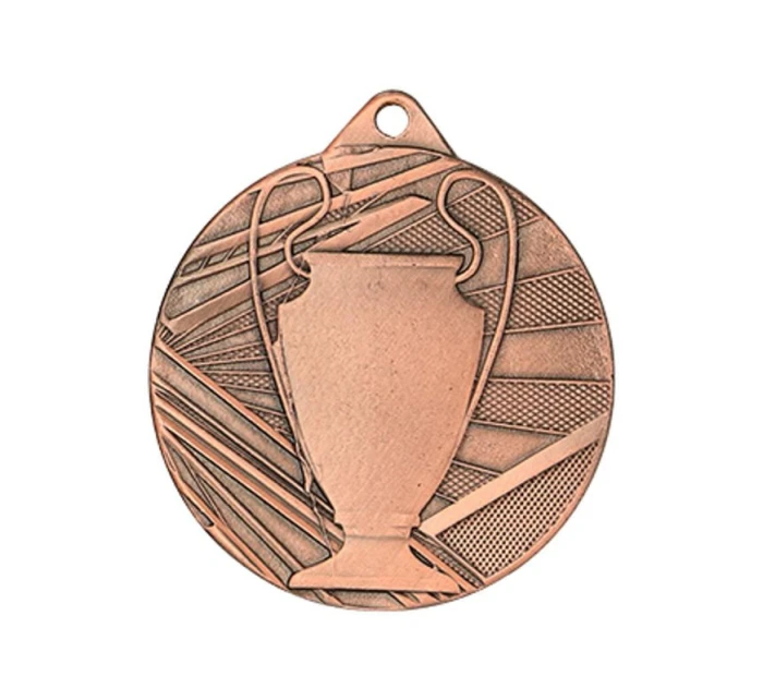 Celková bronzová medaile s pohárem