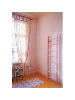 BENCHK 100 GYMNASTICKÝ ŽEBŘÍK