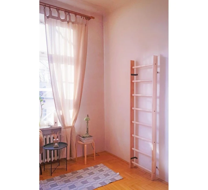 BENCHK 100 GYMNASTICKÝ ŽEBŘÍK