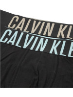 Pánské boxerky 2pack  černá  model 17880985 - Calvin Klein