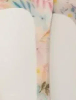 ZÁPATÍ DY241111-KVĚTINY