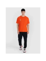 Pánské tričko oversize s potiskem model 21436916 pánské - 4F Pánské tričko oversize s potiskem model 21436916 pánské - 4F