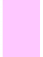 Veneziana Saténové punčocháče 40 den 2-4 Veneziana Saténové punčocháče 40 den 2-4