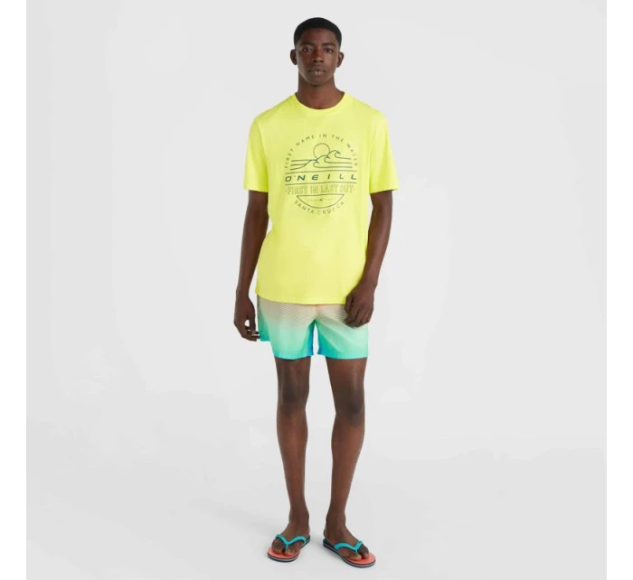 Plavecké šortky O'Neill Jack Cali  M model 20119137 - ONeill