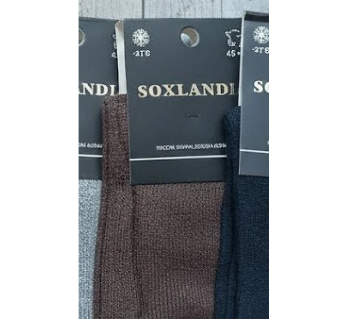 043 16 ponožek 3946 model 21780985 - WiK