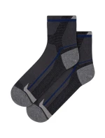 Pánské ponožky Wola Sportive W94.1N5 Ag+