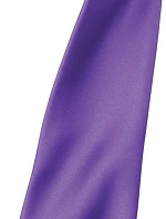 Premier PR 750 Saténová kravata "Colours" 39.0750 rich violet