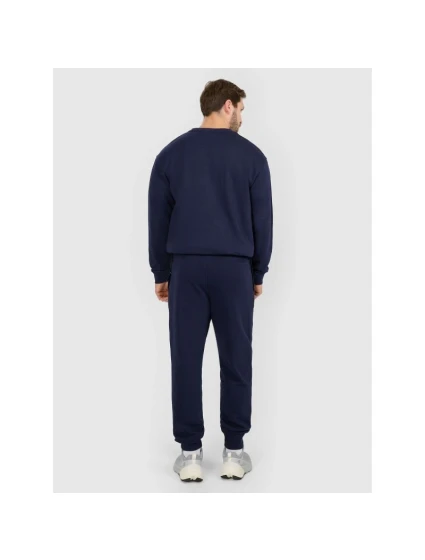 Pánské tepláky typu jogger model 21920406 - 4F