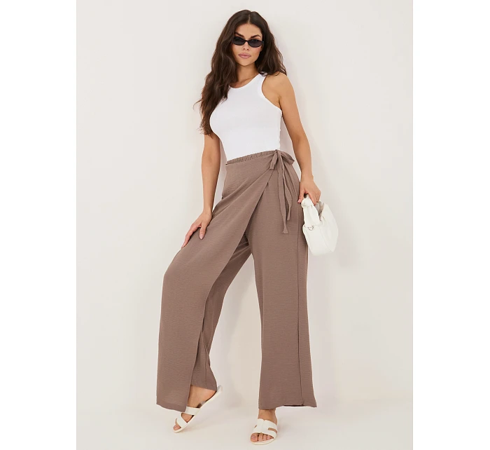 Spodnie CS SP model 22109846 brązowy - FPrice