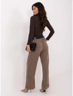 Spodnie IT SP model 21747102 ciemny bezowy - FPrice Spodnie IT SP model 21747102 ciemny bezowy - FPrice