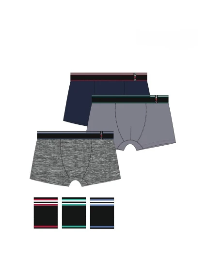 Boxerky model 22077318 Bamboo M3XL - Redo