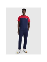 Pánské tričko s potiskem 4F 4FRAW25TTSHM3292-31S