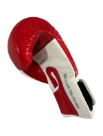 Boxerské rukavice  10 oz model 21785885 - Masters