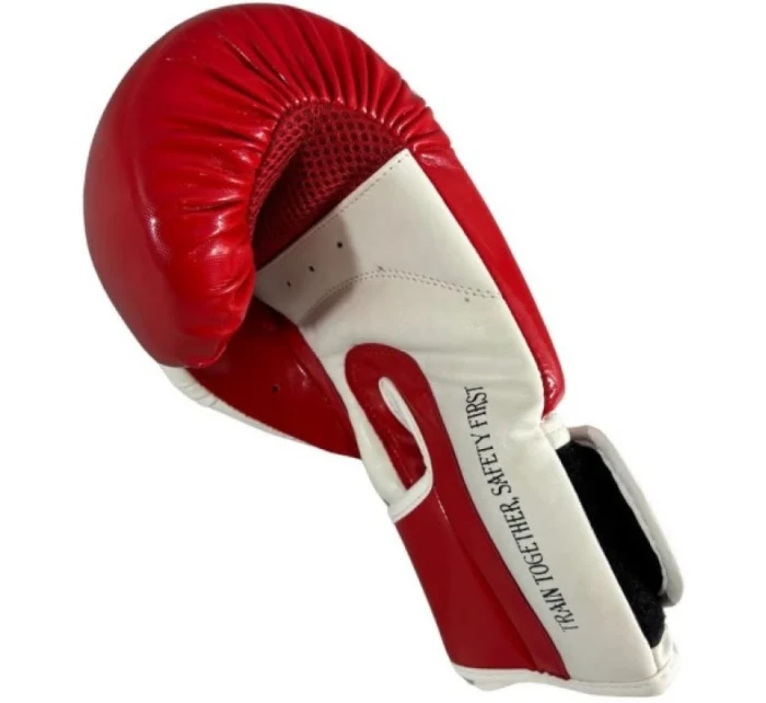 Boxerské rukavice  10 oz model 21785885 - Masters