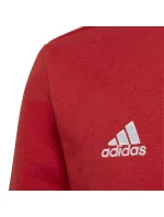 Dětská mikina Entrada 22 Sweat Jr H57473 - Adidas