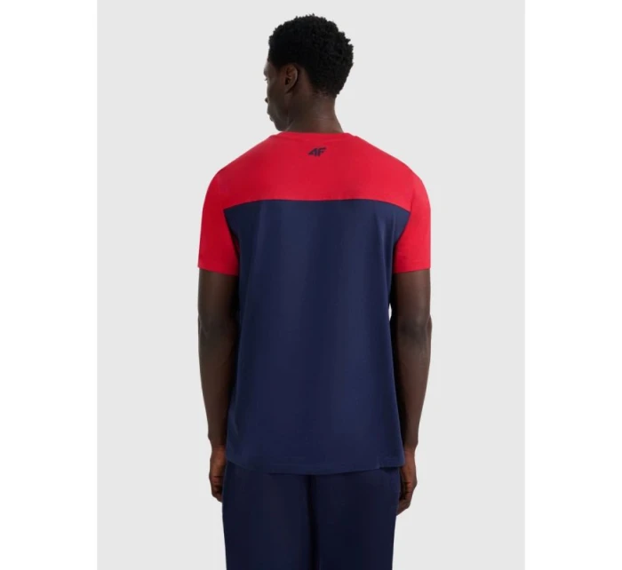 Pánské tričko s potiskem 4F 4FRAW25TTSHM3292-31S
