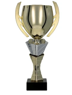 Zlatý a stříbrný kovový pohár