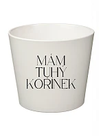 MÁM TUHÝ KOŘÍNEK - malý květináč 